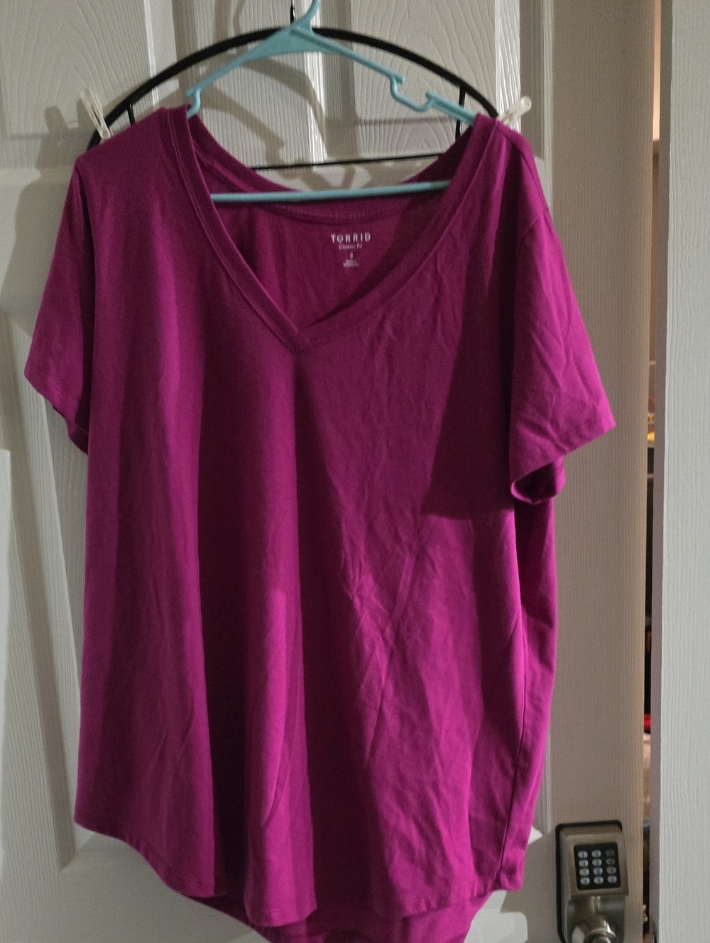 Torrid V-Neck Tee in Berry